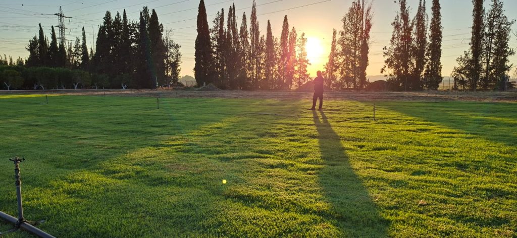 חדש בגת אלטורו