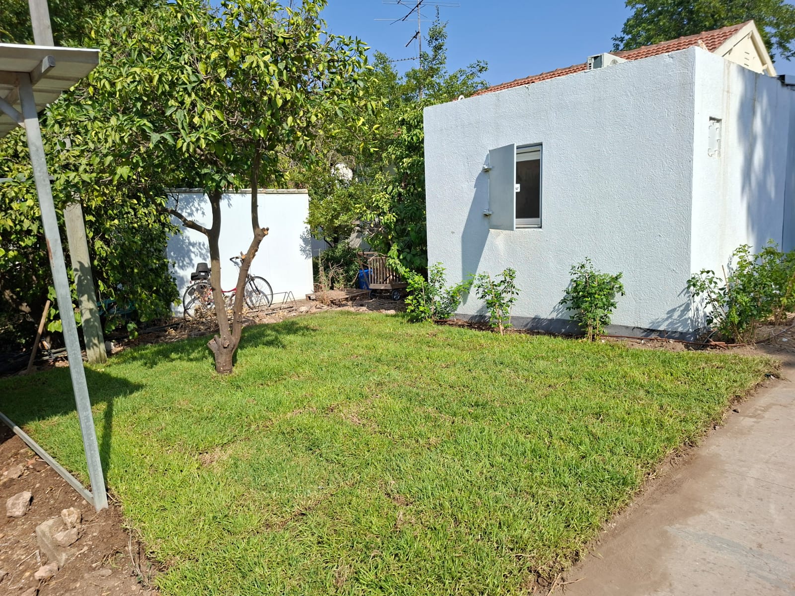 WhatsApp Image 2025-08-11 at 07.20.00